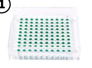 manual capsule filler operation step 1